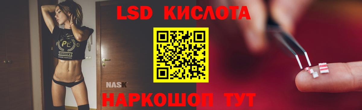 Бердск  Лсд 25 экстази  Вход с VPN  Лсд 25 экстази ecstasy  ЛСД экстази ecstasy 